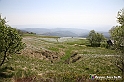 VBS_2605 - Fioritura Narcisi Castelnuovo Nigra 2022 e campi di papaveri rossi